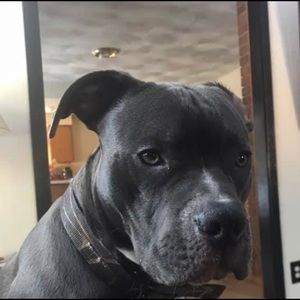 Meet your Posher, Scott